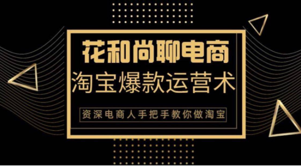 花和尚·天猫淘宝爆款运营实操技术，手把手教你月销万件的爆款打造技巧-温暖资源库