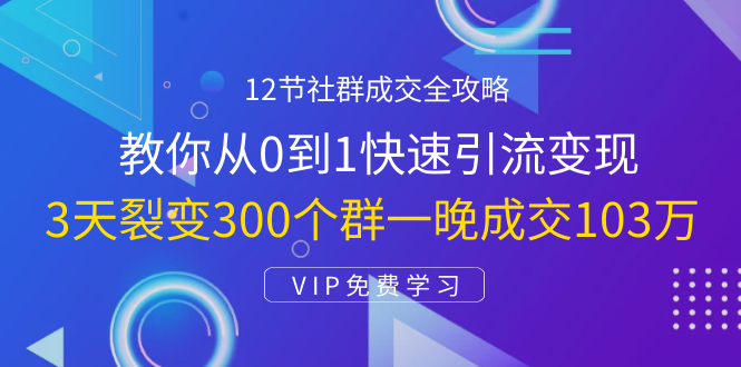 12节社群成交全攻略：从0到1快速引流变现，3天裂变300个群一晚成交103万-温暖资源库