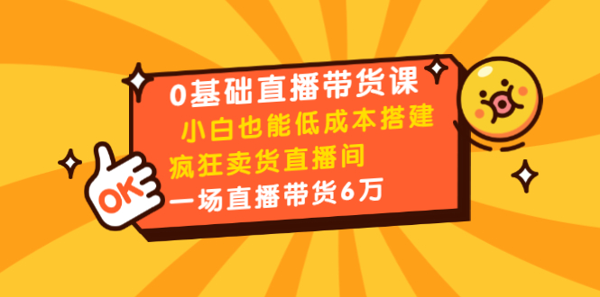0基础直播带货课：小白也能低成本搭建疯狂卖货直播间：1场直播带货6万-温暖资源库