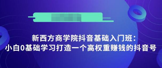 抖音基础入门班：小白0基础学习打造一个高权重赚钱的抖音号-温暖资源库