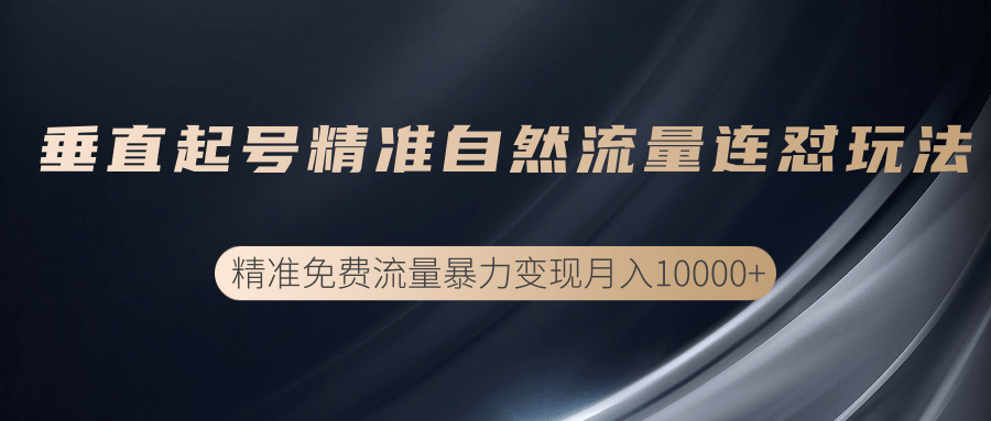 垂直起号精准自然流量连爆玩法，精准引流暴力变现月入10000+-温暖资源库