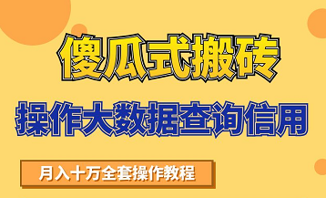 搬砖操作大数据查询信用项目赚钱教程，祝你快速月入6万-温暖资源库