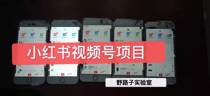 野路子小红书视频号1.0项目，直接上手操作就能赚钱的视频号项目-温暖资源库