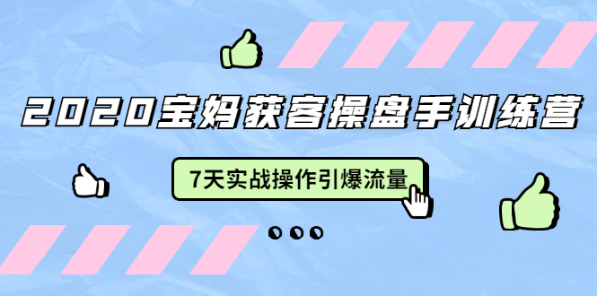 2020宝妈获客操盘手训练营：7天实战操作引爆 母婴、都市、购物宝妈流量-温暖资源库