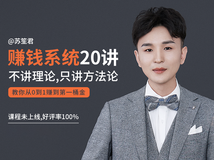 苏笙君的赚钱系统20课 教你从0到1赚到你的第一桶金（不讲理论，只讲方法论）-温暖资源库