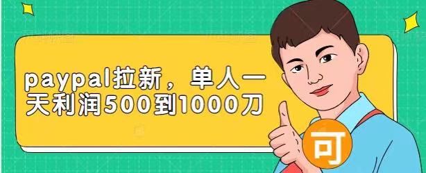 Paypal拉新赚美刀项目，单人一天利润500-1000刀【视频课程】-温暖资源库