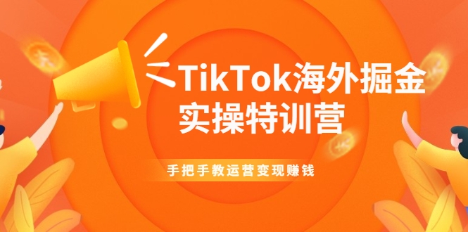 TikTok海外掘金实操特训营：手把手教运营变现赚钱-温暖资源库