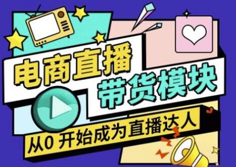 大鹏·电商直播带货课，系统学习直播带货各环节技巧和套路-温暖资源库