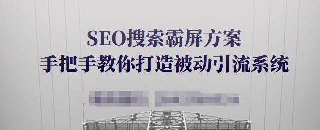 SEO搜索霸屏方案，手把手教你打造被动引流系统【视频课程】-温暖资源库