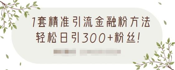 1套精准引流金融粉方法，轻松日引300+粉丝-温暖资源库
