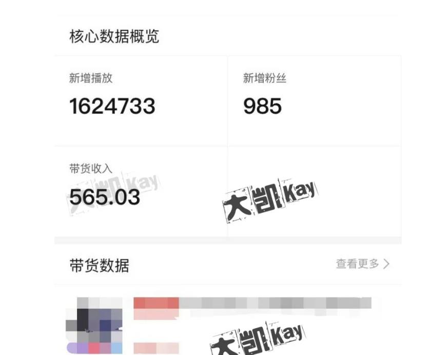 大凯进阶圈新玩法之拼多多视频玩法，利润大概一个号一天能有500~1500的左右!-温暖资源库