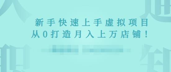 2022年虚拟项目实战指南，新手从0打造月入上万店铺-温暖资源库