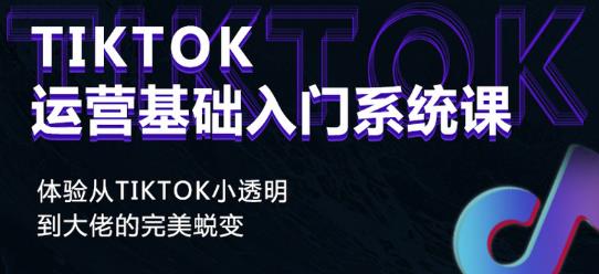 Tiktok实操进阶课程，体验从tiktok小透明到大佬的完美蜕变-温暖资源库