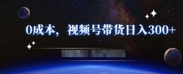 零基础视频号带货赚钱项目，0成本0门槛轻松日入300+【视频教程】-温暖资源库