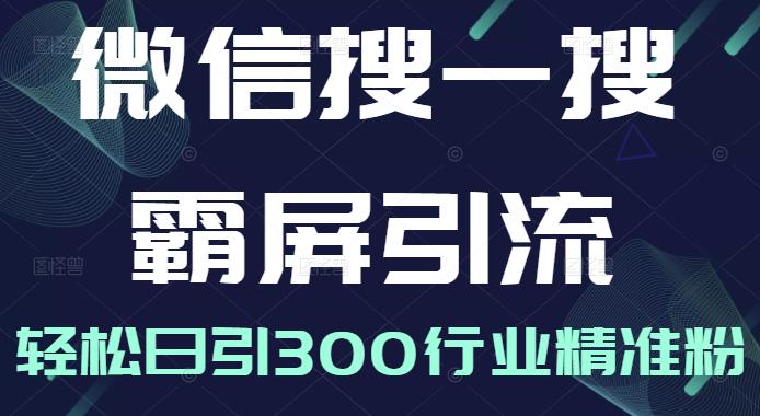微信搜一搜霸屏引流课，打造被动精准引流系统，轻松日引300行业精准粉-温暖资源库