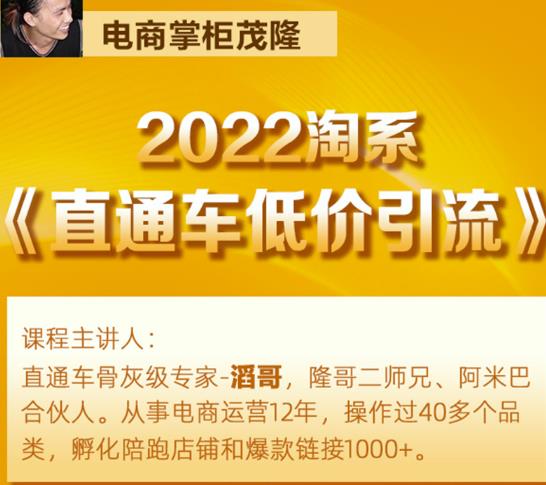 茂隆2022直通车低价引流玩法，教大家如何低投入高回报的直通车玩法-温暖资源库