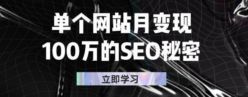 单个网站月变现100万的SEO秘密，百分百做出赚钱站点-温暖资源库