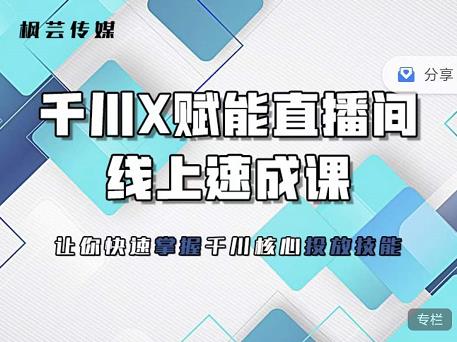 枫芸传媒-线上千川提升课，提升千川认知，提升千川投放效果-温暖资源库