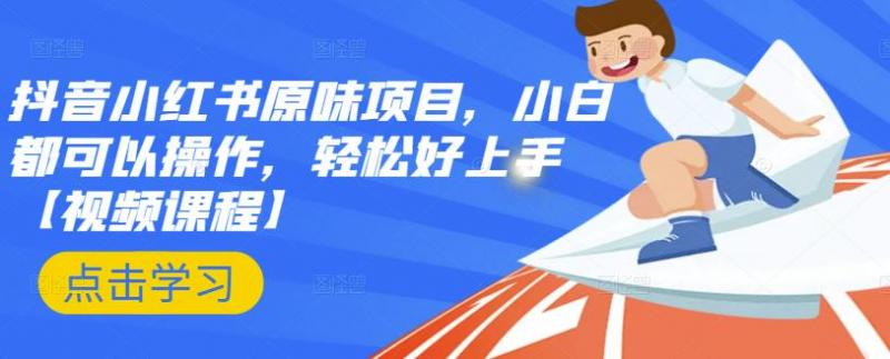 抖音小红书原味项目，小白都可以操作，轻松好上手【视频课程】-温暖资源库