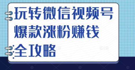 玩转微信视频号爆款涨粉赚钱全攻略，让你快速抓住流量风口，收获红利财富-温暖资源库