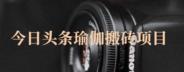 猎人社区·今日头条瑜伽搬砖项目，单号一天几十收入，可以批量操作！-温暖资源库