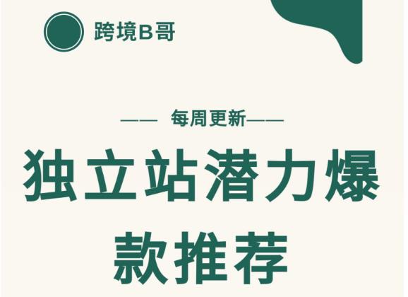 【跨境B哥】独立站潜力爆款选品推荐，测款出单率高达百分之80-温暖资源库