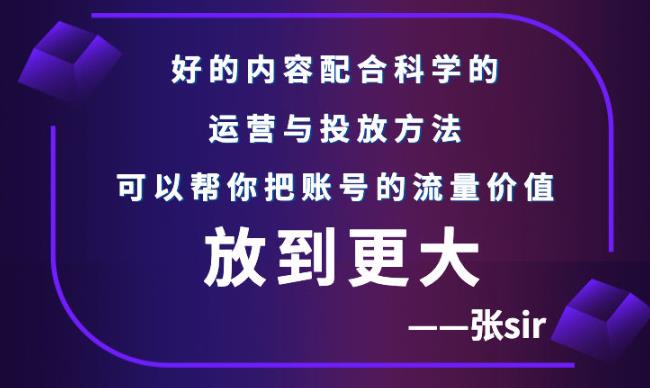 张sir账号流量增长课，告别海王流量，让你的流量更精准-温暖资源库