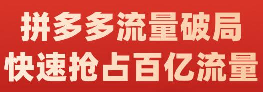 阿杰·拼多多流量破局:如何打黑标，爆款的思路，拼多多流量框架，快速抢占百亿流量-温暖资源库