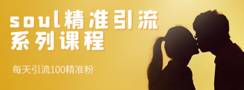 soul精准引流系列课程，每天引流100精准粉-温暖资源库
