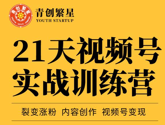 张萌21天视频号实战训练营，裂变涨粉、内容创作、视频号变现 价值298元-温暖资源库