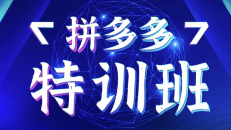 星雪教育·拼多多基础班+进阶班+突破班，用系统的学习模式快速改变现状价值3580元-温暖资源库