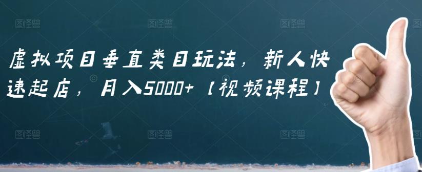 虚拟项目垂直类目玩法，新人快速起店，月入5000+【视频课程】-温暖资源库