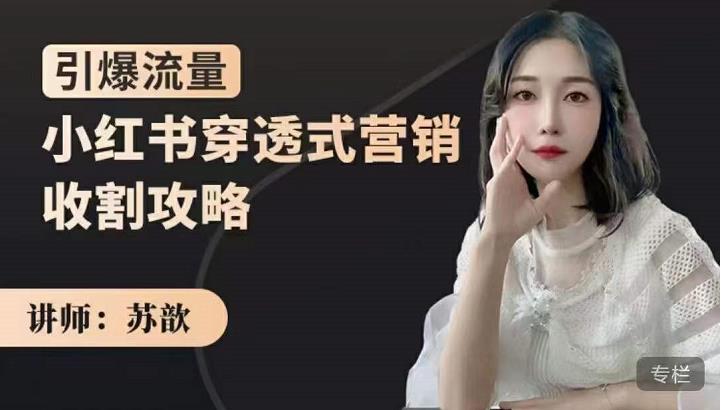 苏歆：小红书穿透式营销收割攻略，引爆流量，助你玩转小红书-温暖资源库