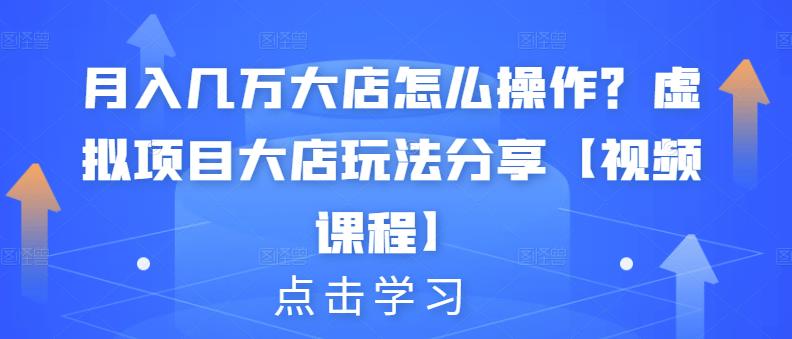 月入几万大店怎么操作？虚拟项目大店玩法分享【视频课程】-温暖资源库