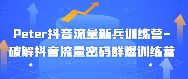 Peter抖音流量新兵训练营-破解抖音流量密码群爆训练营（新兵）-温暖资源库