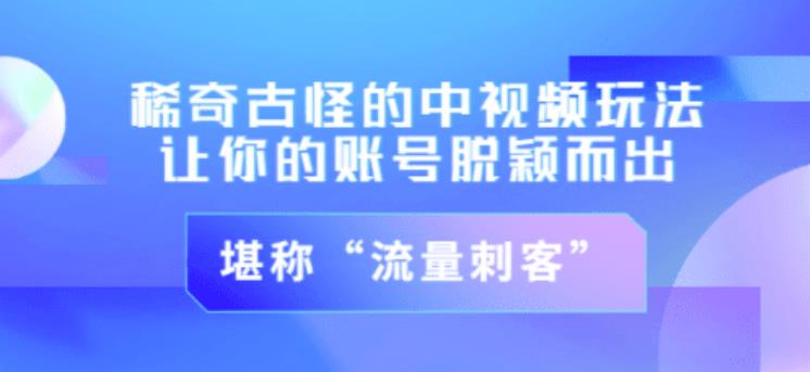 不讲李·稀奇古怪的冷门中视频冷门玩法，让你的账号脱颖而出，成为流量刺客！（图文+视频）-温暖资源库