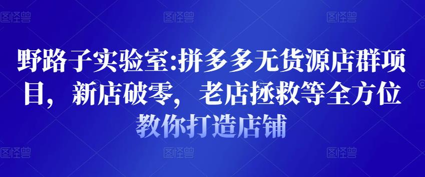 野路子实验室:拼多多无货源店群项目，新店破零，老店拯救等全方位教你打造店铺-温暖资源库