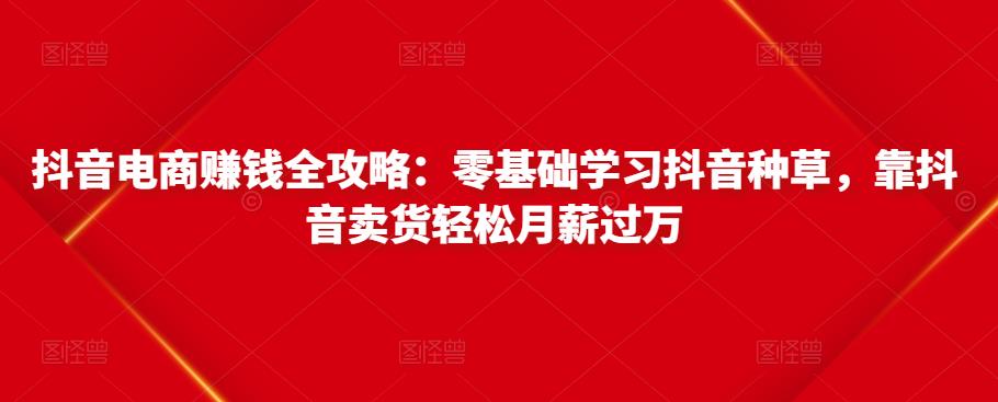 抖音电商赚钱全攻略：零基础学习抖音种草，靠抖音卖货轻松月薪过万-温暖资源库