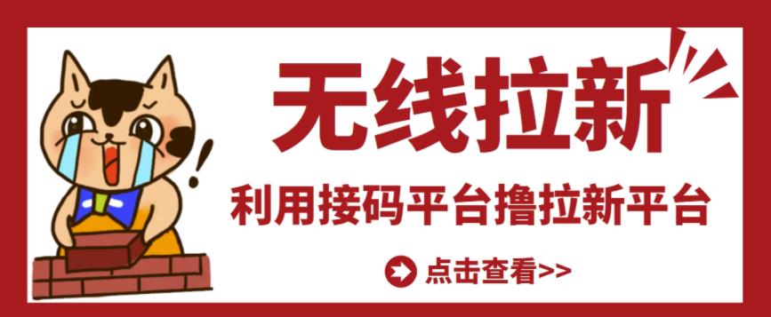 最新接码无限拉新项目，利用接码平台赚拉新平台差价，轻松日赚500+-温暖资源库