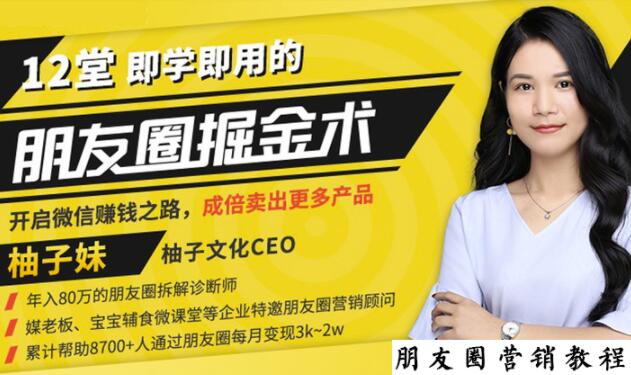 【营销必学】12堂学之即用的朋友圈掘金术：开启你的副业赚钱之路-温暖资源库