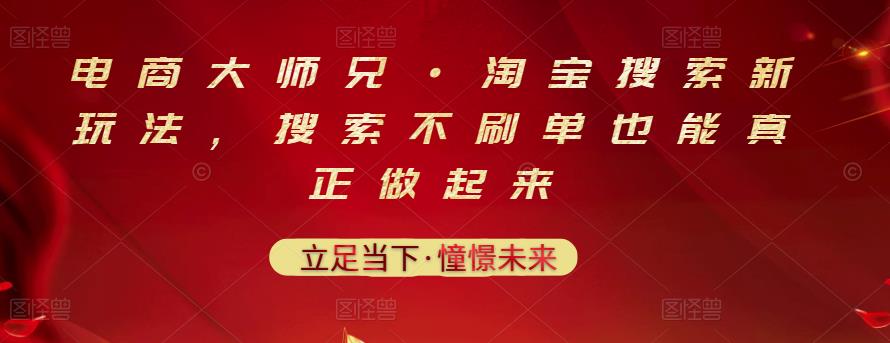 电商大师兄·淘宝搜索新玩法，搜索不刷单也能真正做起来-温暖资源库