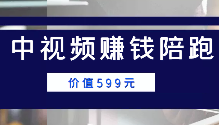 中视频赚钱陪跑，卖中视频账户赚钱收益陪跑项目（价值599元）-温暖资源库