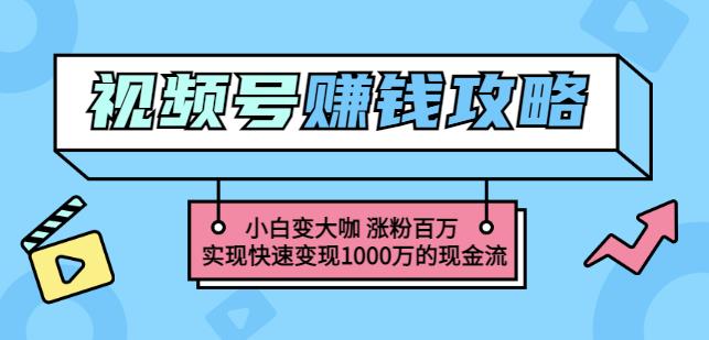 玩转微信视频号赚钱：小白变大咖涨粉百万实现快速变现1000万的现金流-温暖资源库
