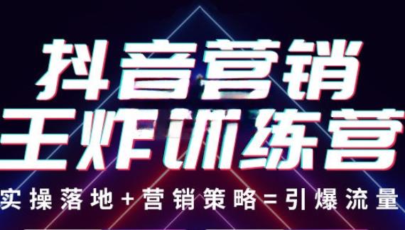 抖音营销王炸训练营，实操落地+营销策略=引爆流量（价值8960元）-温暖资源库