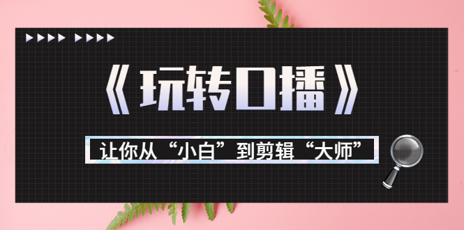 月营业额700万+大佬教您《玩转口播》让你从“小白”到剪辑“大师”-温暖资源库