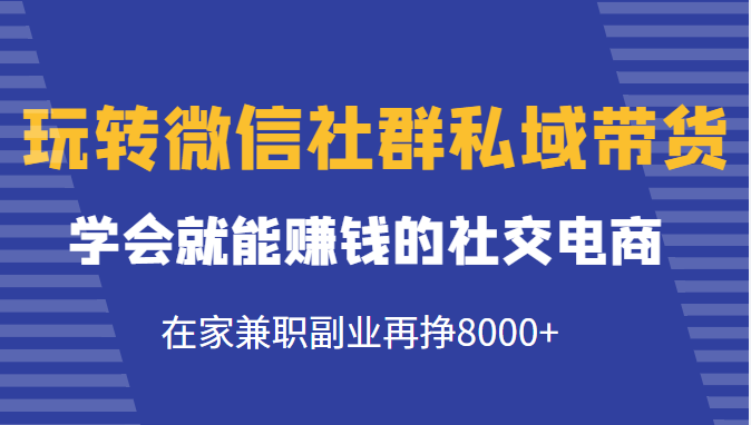 玩转微信社群私域带货，学会就能赚钱的社交电商，在家兼职副业再挣8000+-温暖资源库