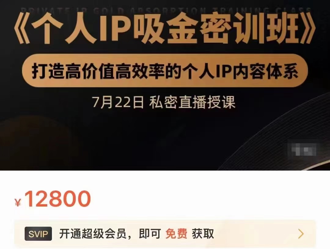 个人IP吸金密训班，打造高价值高效率的个人IP内容体系（价值12800元）-温暖资源库