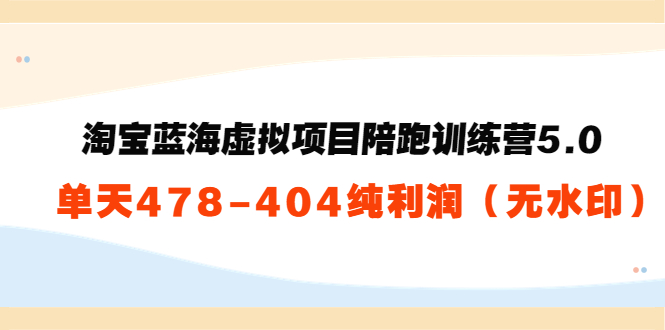 淘宝蓝海虚拟项目陪跑训练营5.0：单天478纯利润-温暖资源库