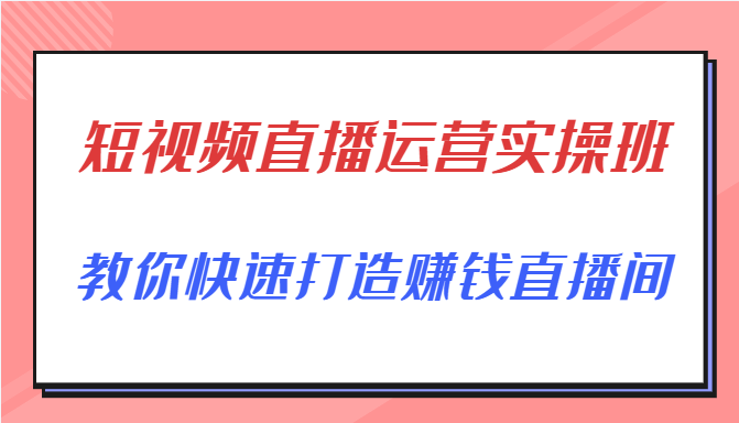 短视频直播运营实操班，直播带货精细化运营实操，教你快速打造赚钱直播间-温暖资源库