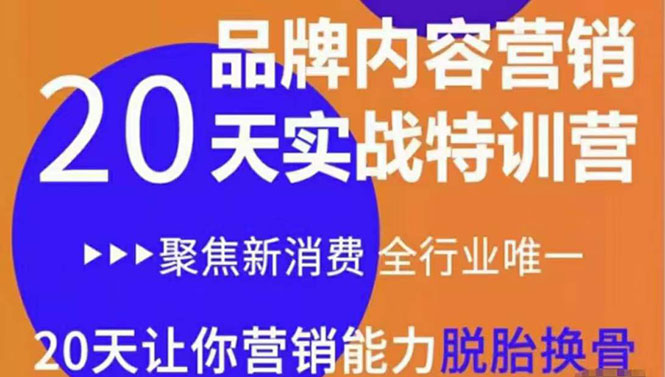 《内容营销实操特训营》20天让你营销能力脱胎换骨（价值3999）-温暖资源库